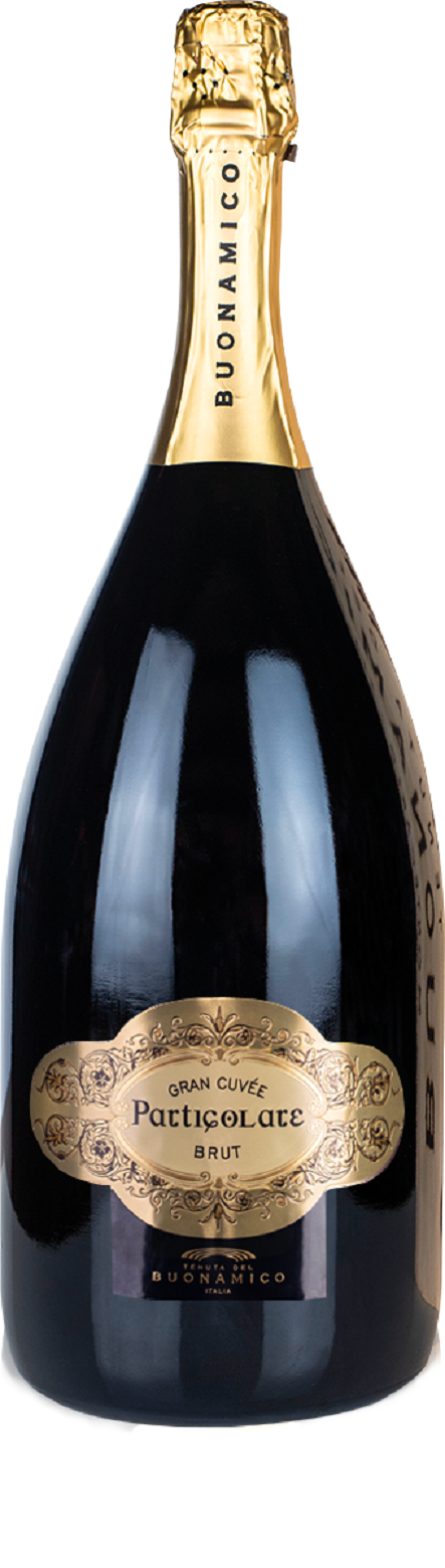 Spumante Particolare Brut - Magnum